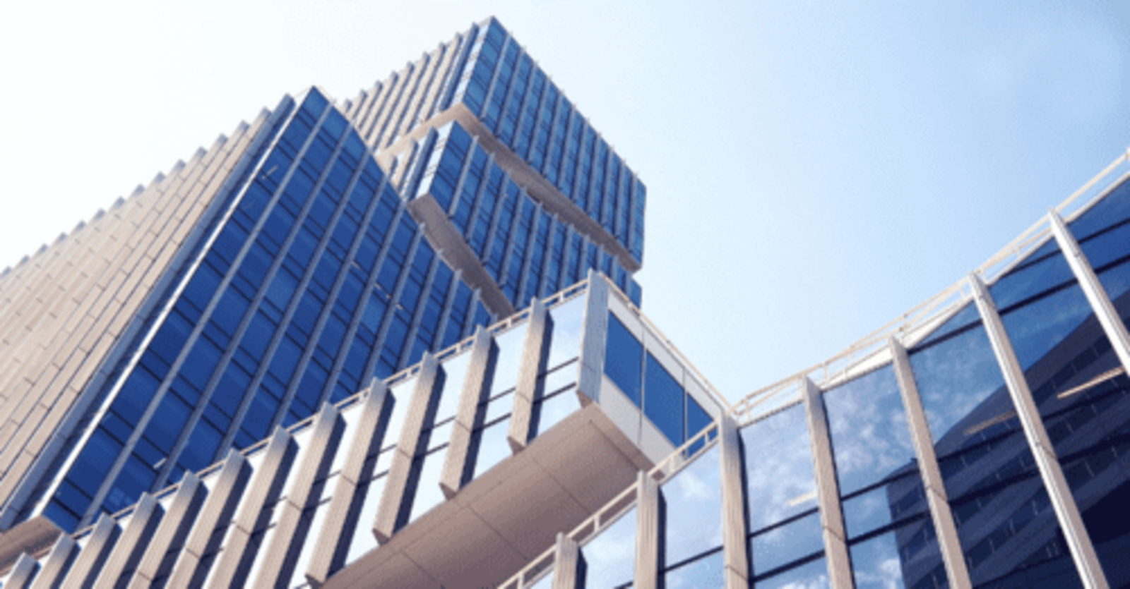 Limited Liability Company (LLC)