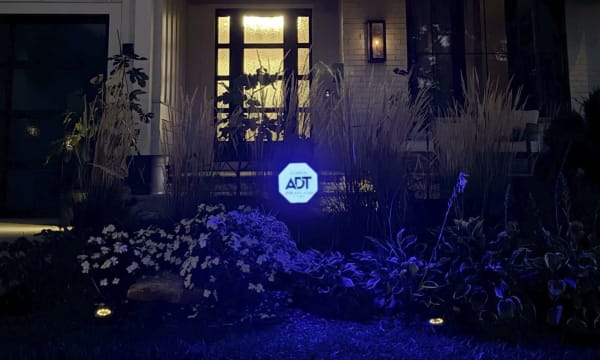 ADT Lifelight