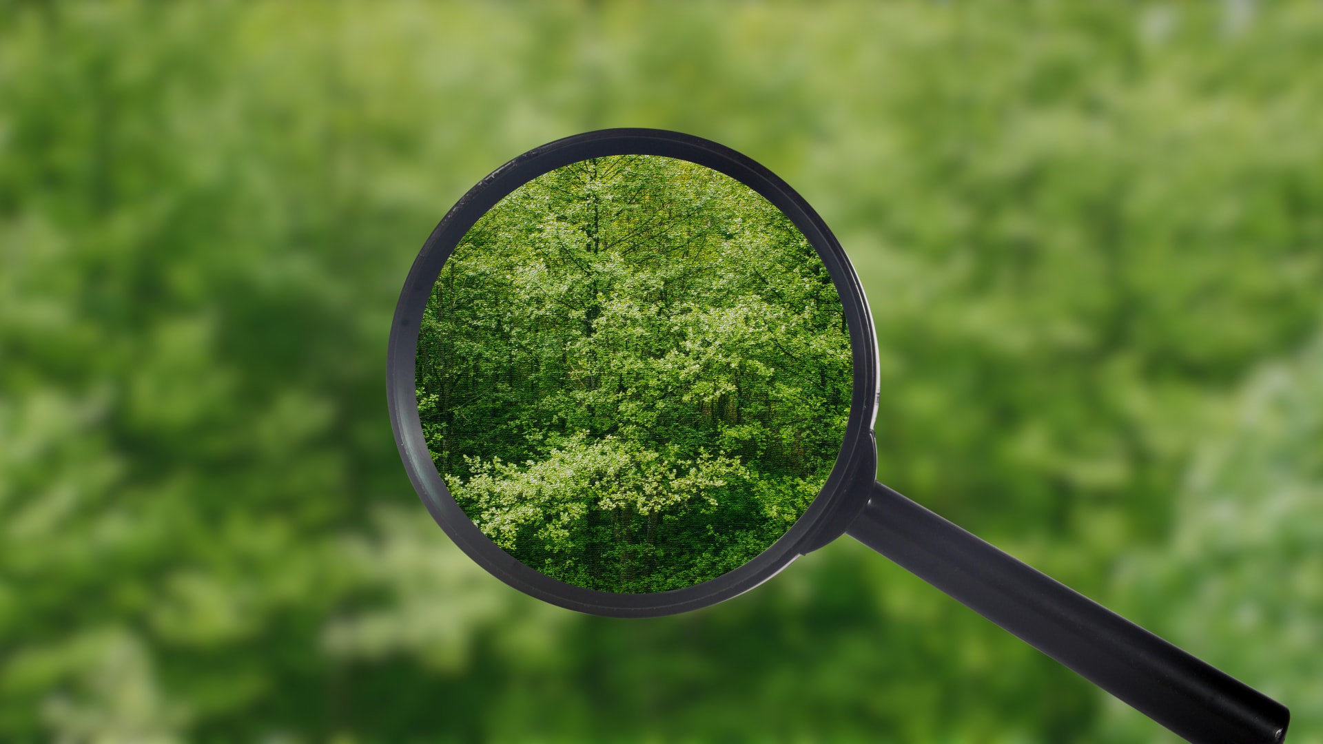 Discoverability Blog Landscape
