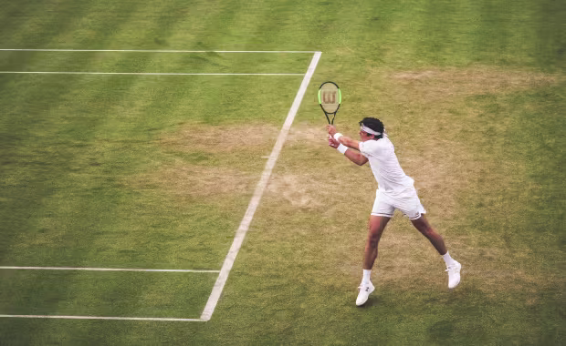 Wimbledon Debentures
