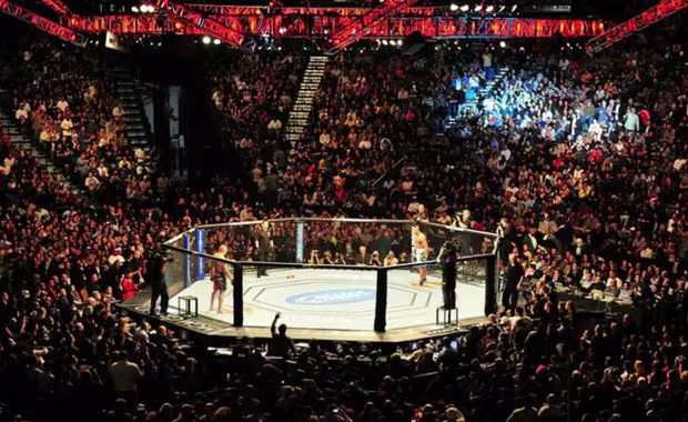 UFC 