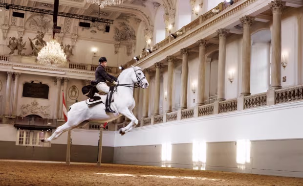 Spanish Riding School