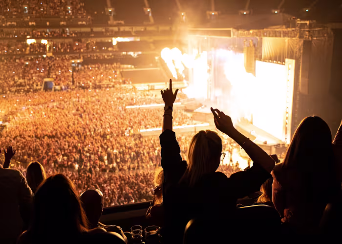 Fans at concert
