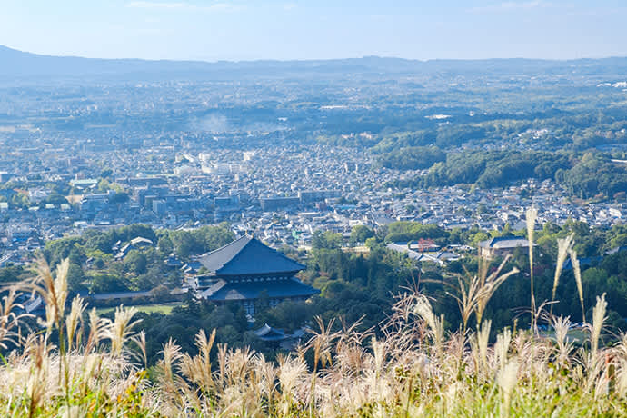 Nara’s temples and shrines are set in beautiful countryside.